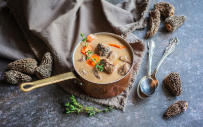 Lamb & Wild Morel Stew