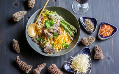 Fresh Pasta with Morel Cream Sauce