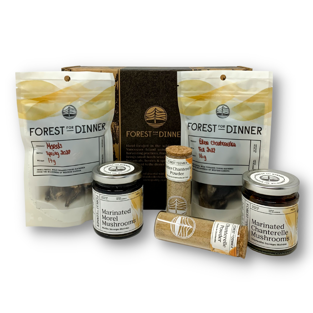 The-forager-gift-box