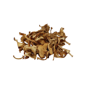 Dried Chanterelle Mushrooms