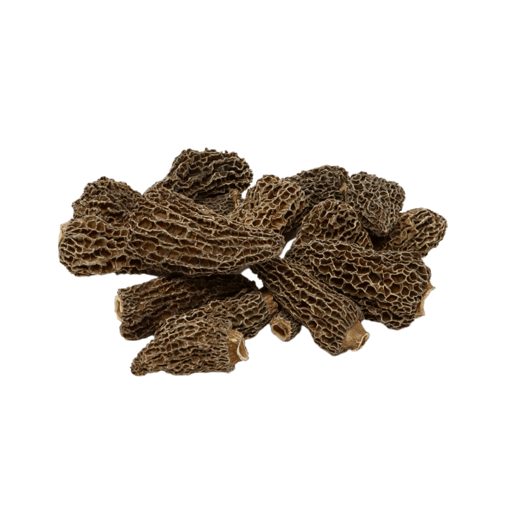 dried-morel