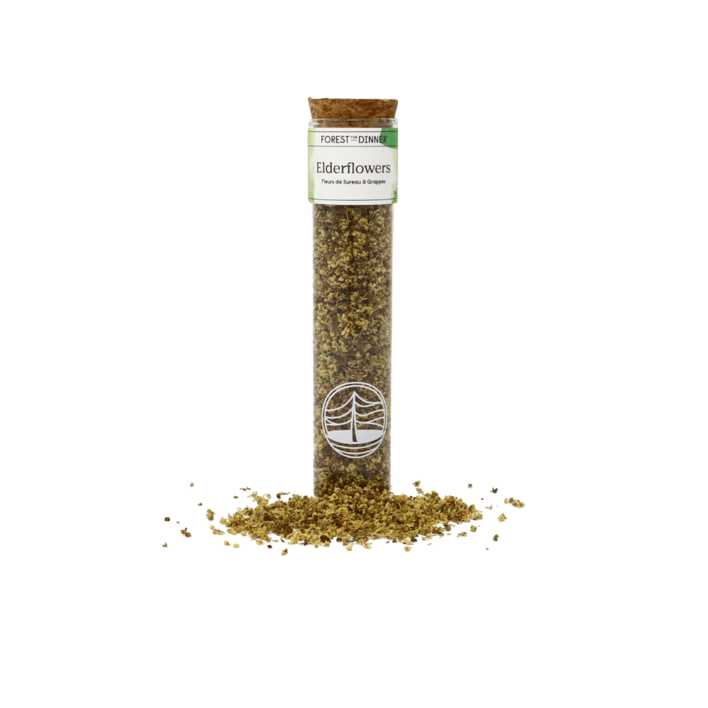 elderflower-tube