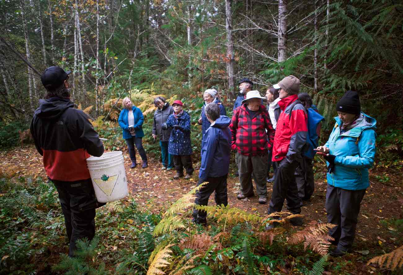 Fall - Wild Mushroom Discovery - Image 3