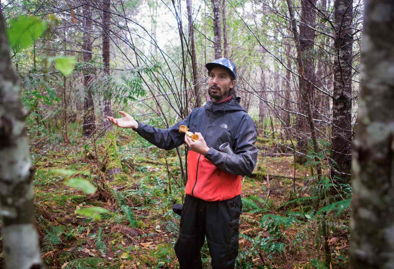 Fall - Wild Mushroom Discovery - Image 4