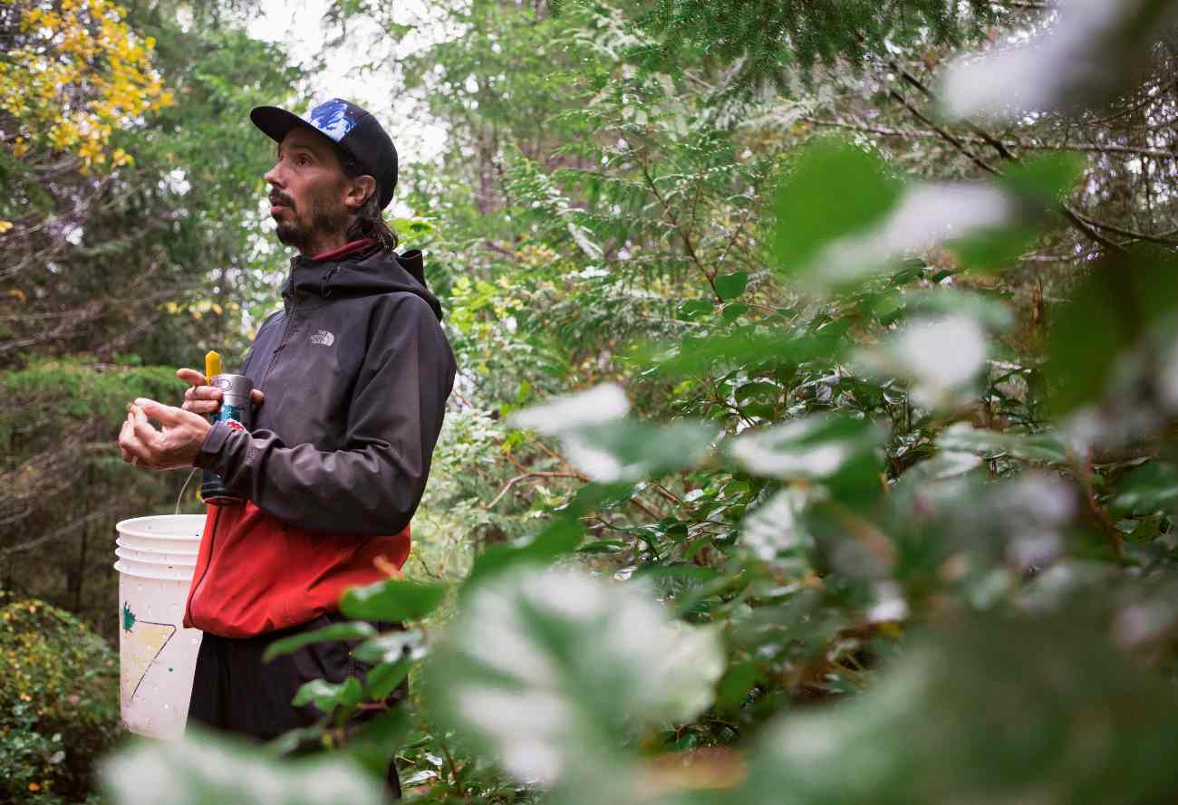 Fall - Wild Mushroom Discovery - Image 7