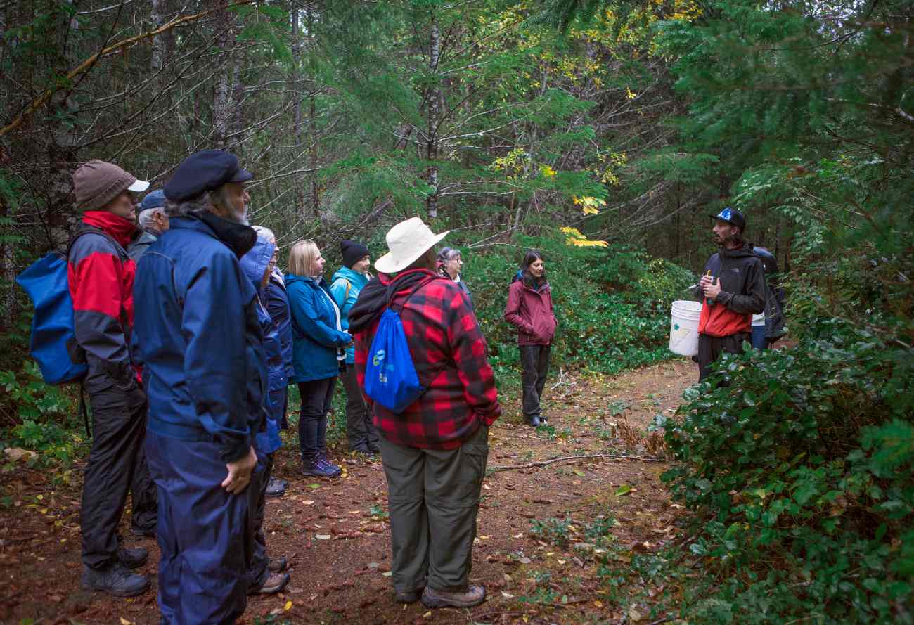 Fall - Wild Mushroom Discovery - Image 5