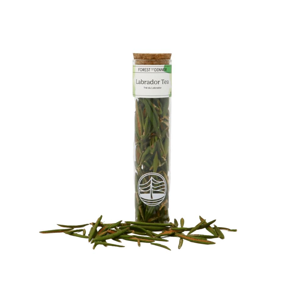 labrador-tea-tube