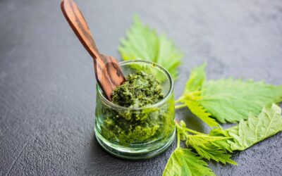 Nettle Pesto