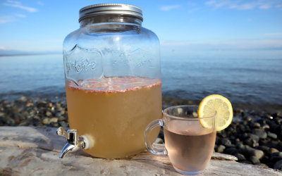 Wild Botanical Lemonade