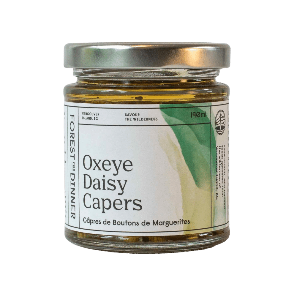 Oxeye Daisy Capers