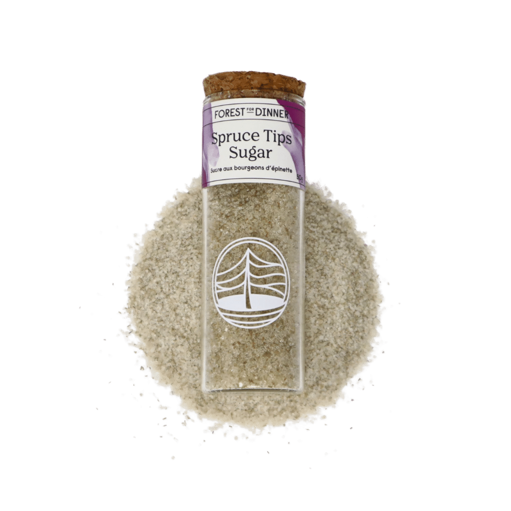 spruce-sugar