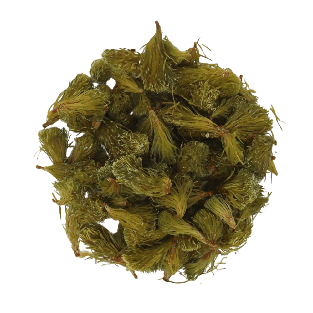 Dried Spruce Tips - Image 2