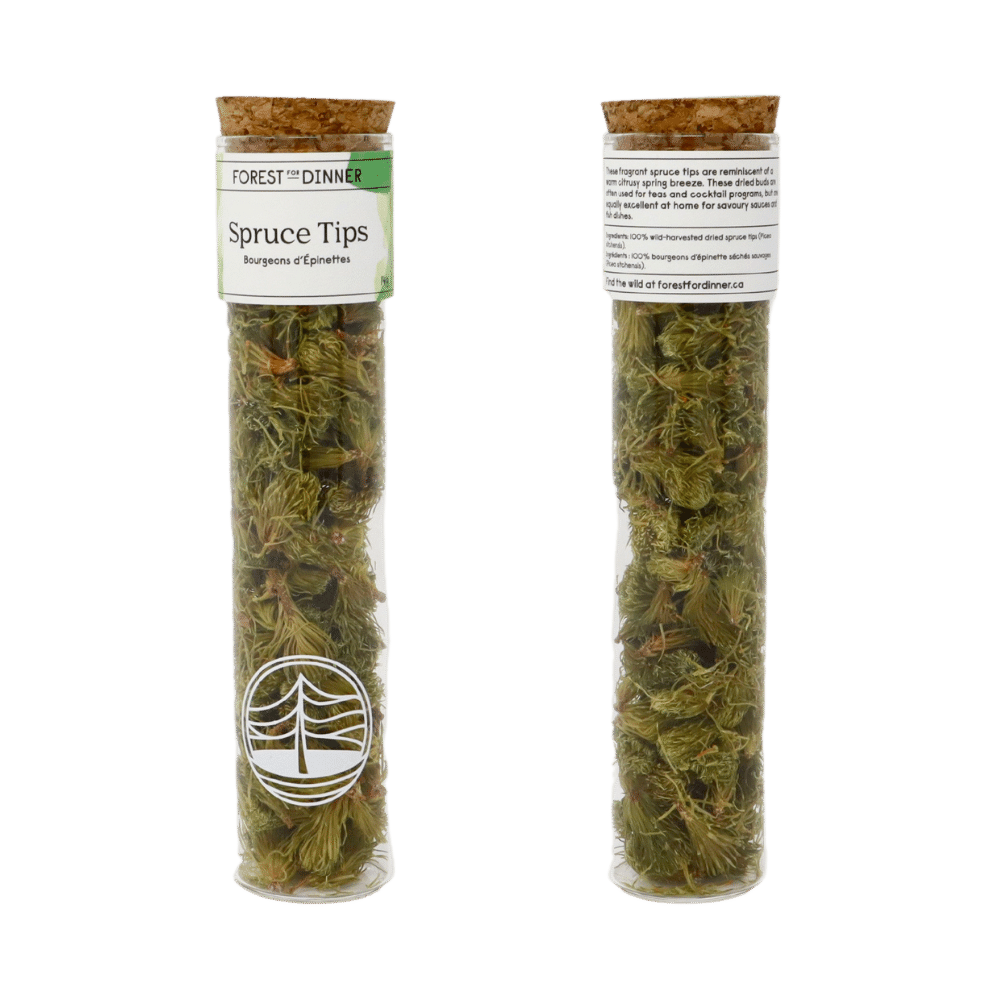 Dried Spruce Tips - Image 3