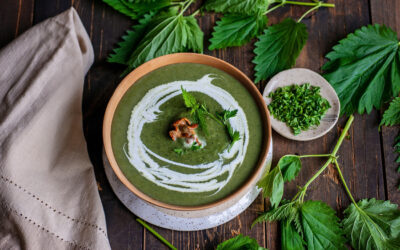 Stinging Nettle Soup